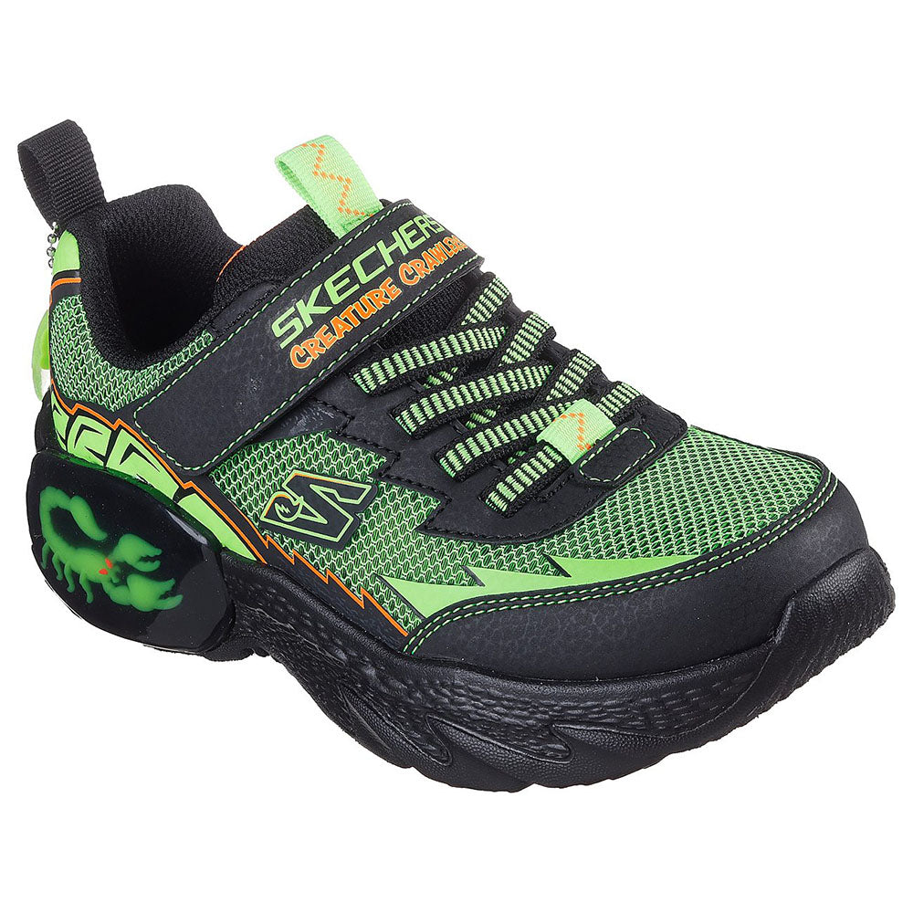 Sinh vật thu thập thông tin sinh vật