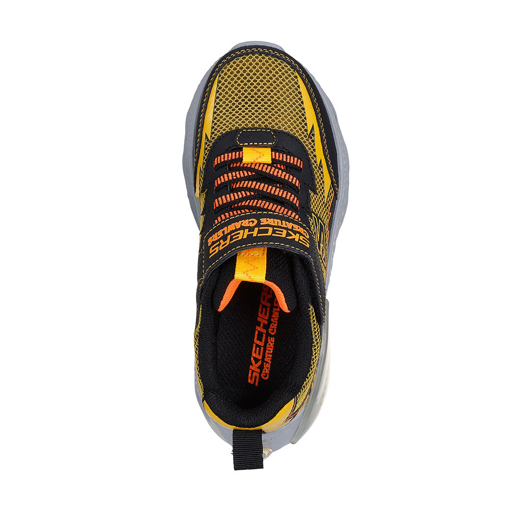 Sinh vật thu thập thông tin sinh vật