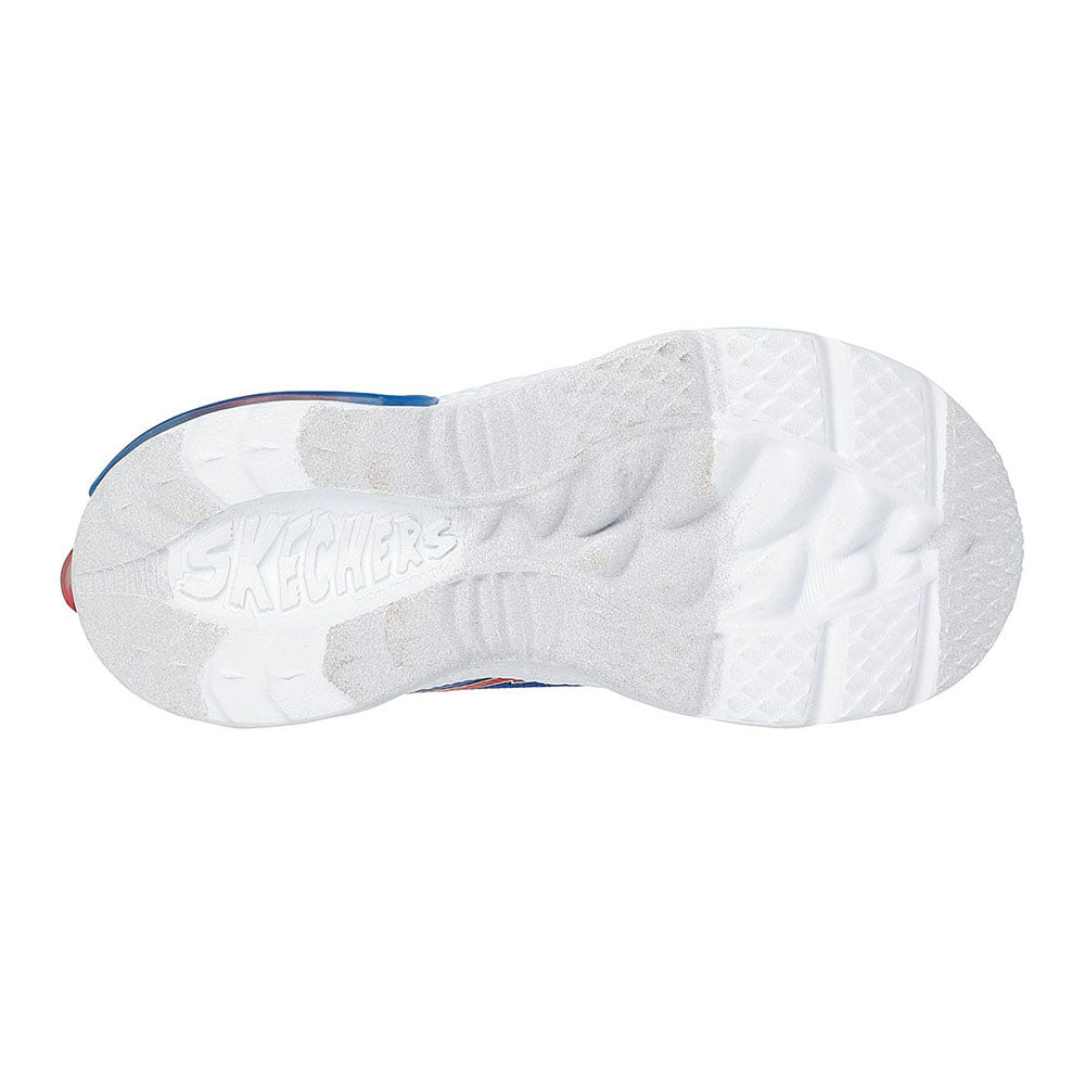 Sinh vật thu thập thông tin sinh vật